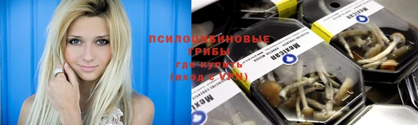 spice Ессентукская